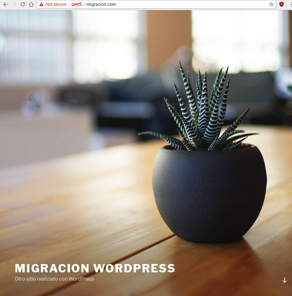 WordPress nuevo servidor