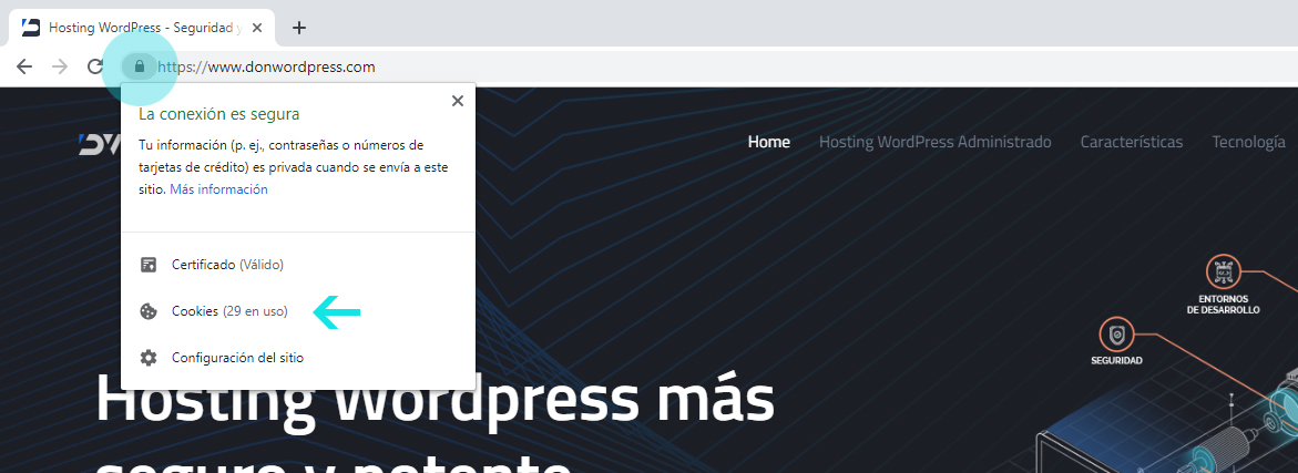 Ver Cookies en Chrome 